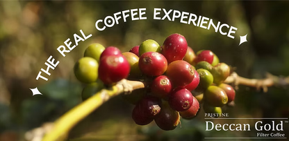 Deccan Gold Filter Coffee Powder